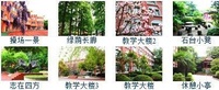 上海市浦东新区第二少年儿童体育学校 上海市浦东新区第二少年儿童体育学校