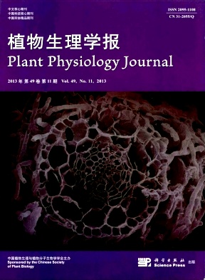 植物生理学报 植物生理学报