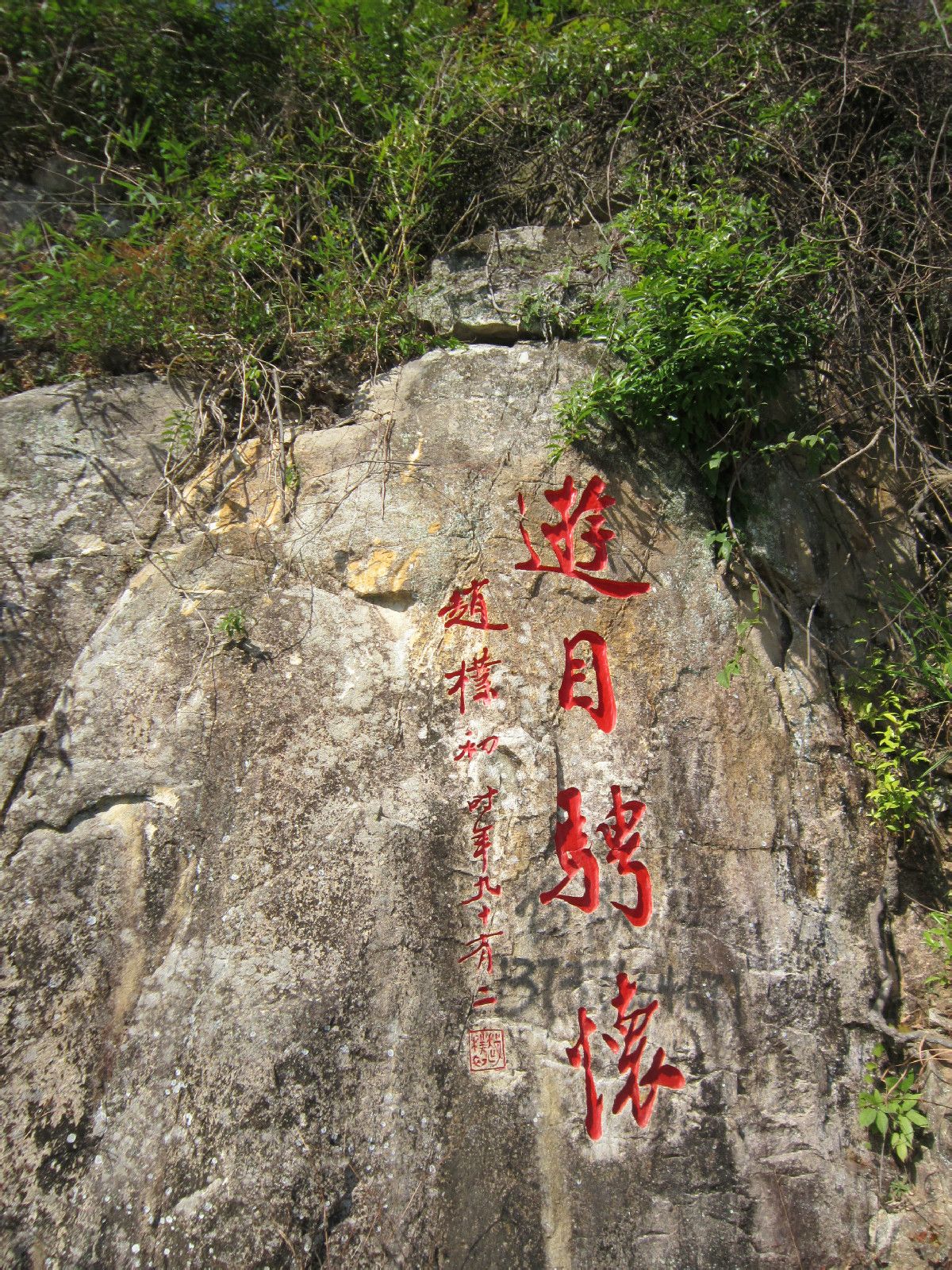 游目骋怀 游目骋怀