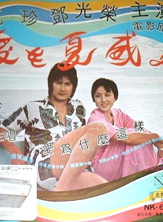 甄珍