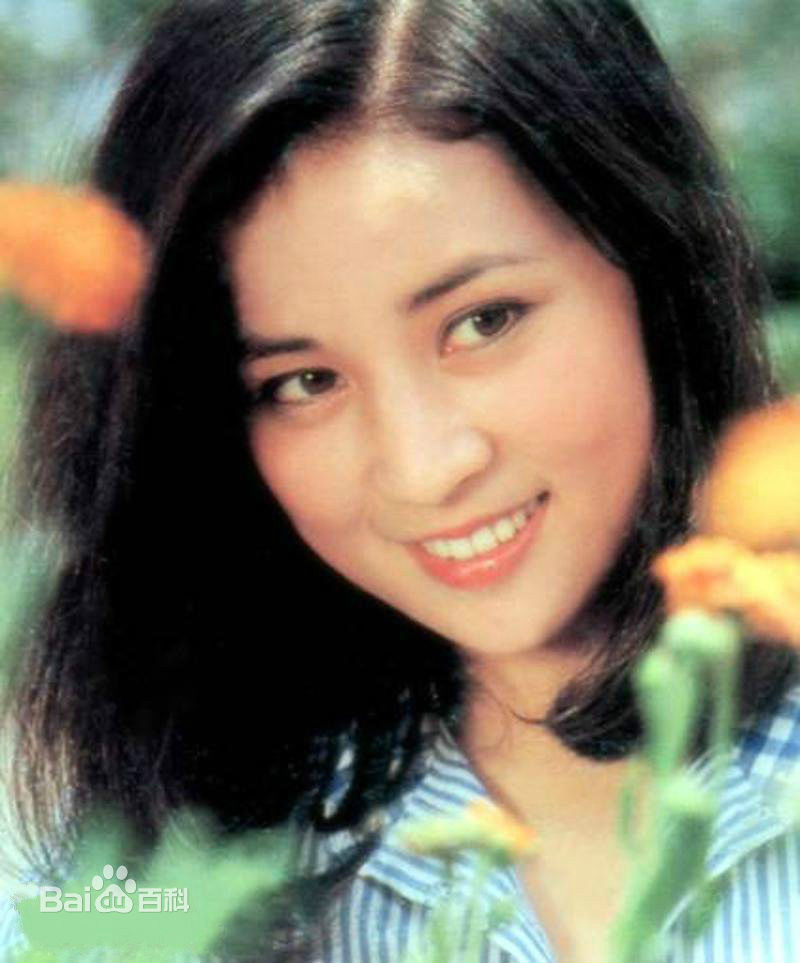 二秦二林 二秦二林