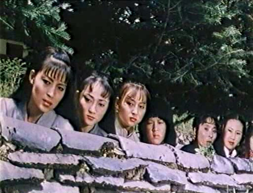 少林十大女杰 少林十大女杰