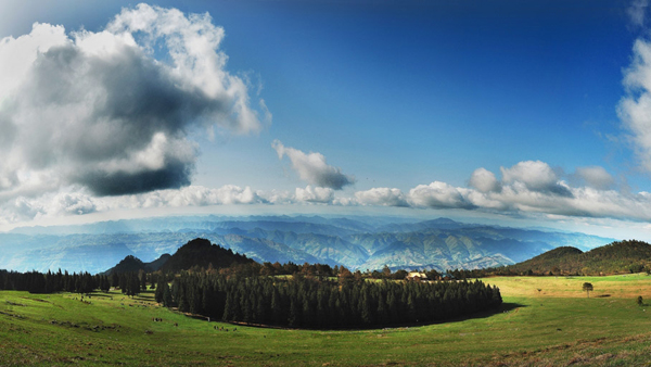 岐山草场 岐山草场