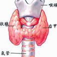 碘甲状腺功能亢进症