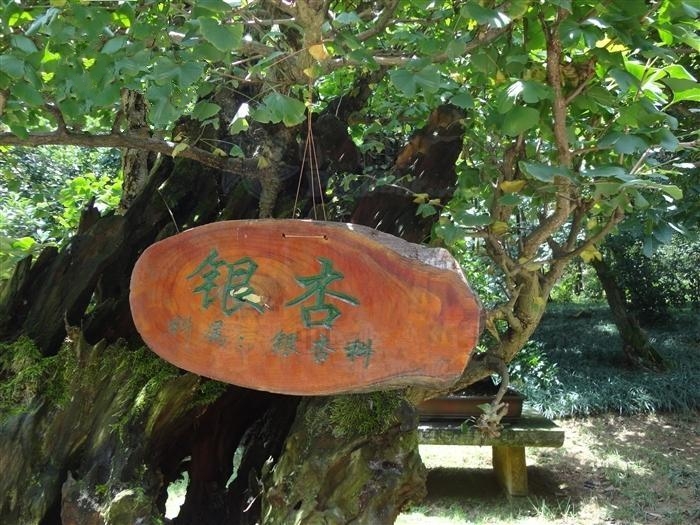 烟台朱吴镇后庄村003