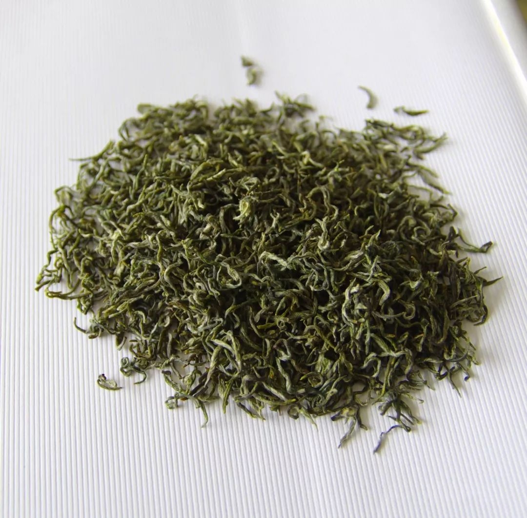 蒙山茶 蒙山茶