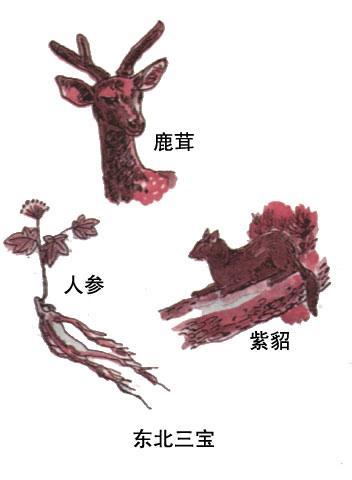 东北三宝 东北三宝