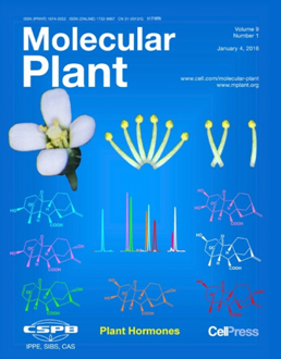Molecular Plant Molecular Plant