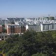 万安镇(山西省洪洞县万安镇)