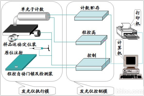 免疫检验技术 免疫检验技术