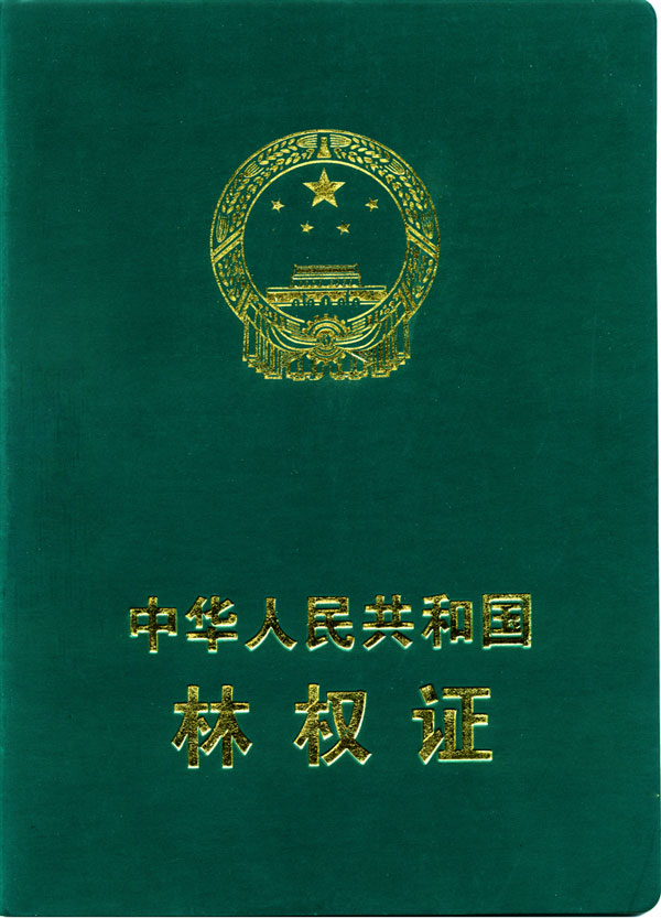 林权证 林权证