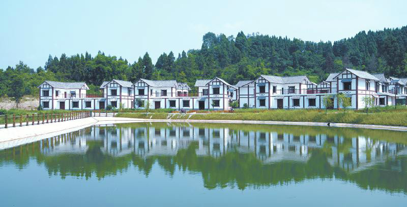 双龙桥村(四川省南充市西充县凤鸣镇下辖村)