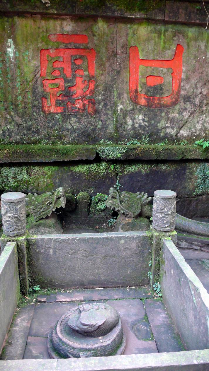 蒙顶山甘露井 蒙顶山甘露井