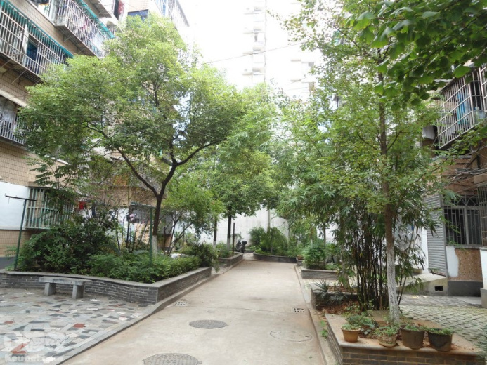 狮子山社区(湖南省长沙市天心区下辖社区)