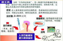 疯牛病简介 疯牛病简介
