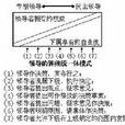 领导行为连续体理论(领导方式连续统一体理论)