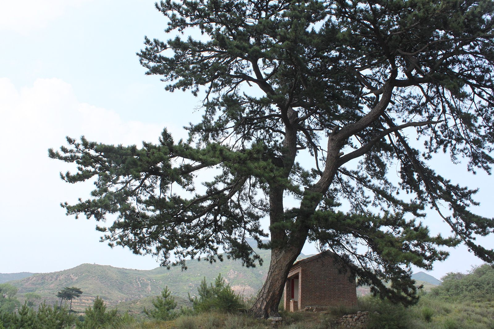 铜炉村的寺 铜炉村的寺