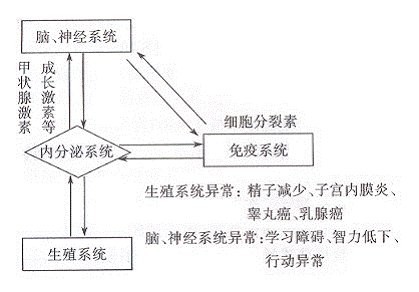 内分泌干扰物的危害 内分泌干扰物的危害