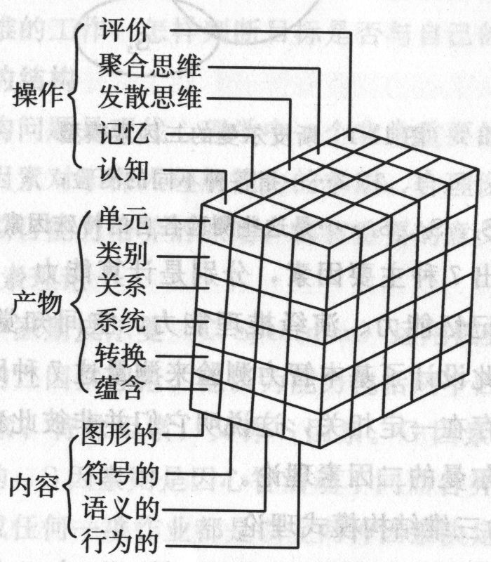 智力三维结构模型 智力三维结构模型