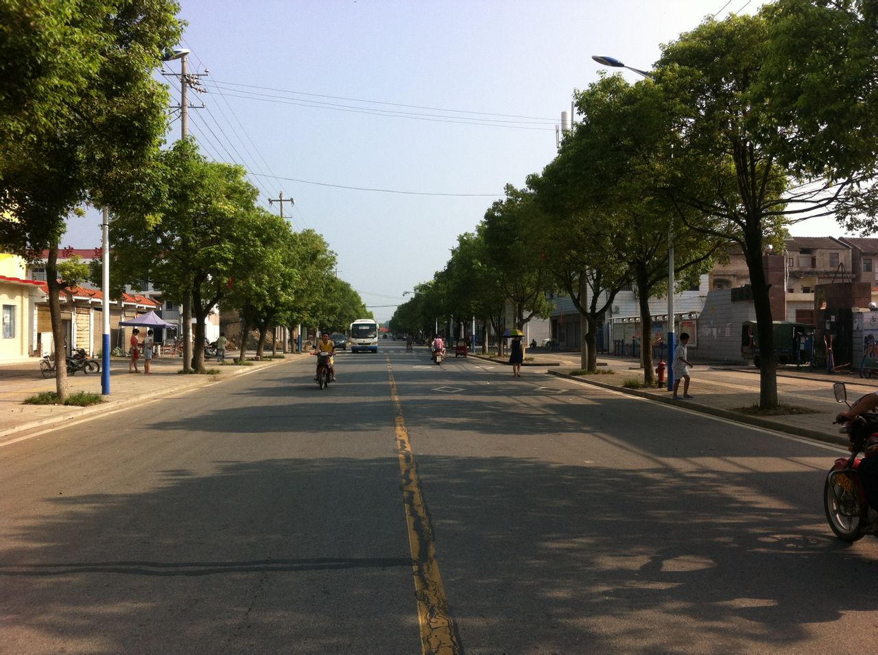 三湖农场 三湖农场