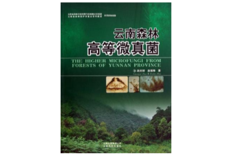 云南森林高等微真菌
