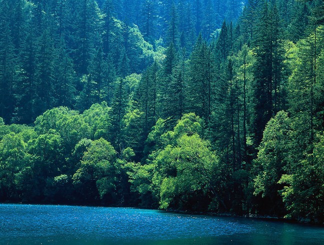 中山区旅游景观 中山区旅游景观