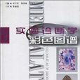 实验诊断学彩色图谱