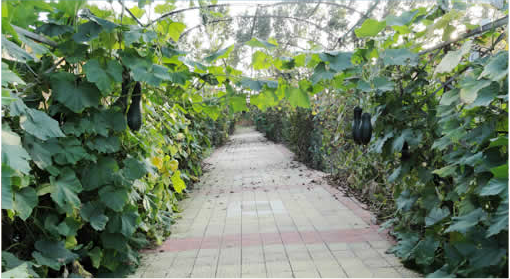 黑龙江三江美术职业学院 黑龙江三江美术职业学院