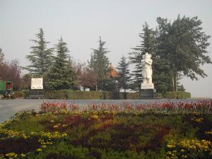 图片 图片