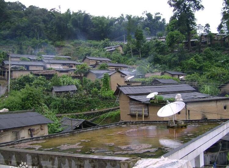半坡自然村(高田乡新华村民委员会下辖自然村)