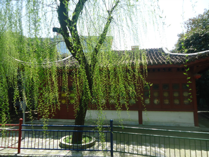 稠州 稠州