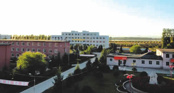 黑龙江三江美术职业学院 黑龙江三江美术职业学院