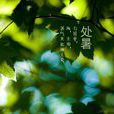 处暑(二十四节气之一)
