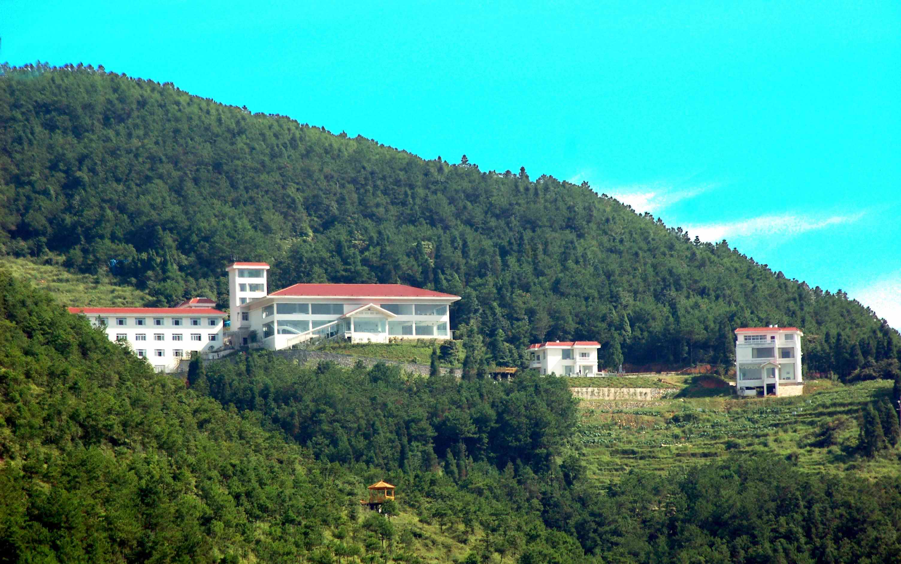 西村村(山西泽州县柳树口镇下辖村)