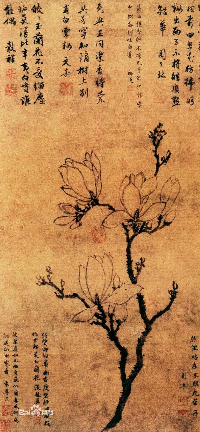 王榖祥玉兰花图 王榖祥玉兰花图