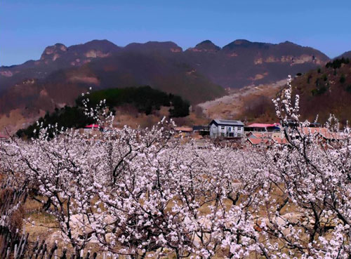 北寨村(山西泽州县柳树口镇下辖村)