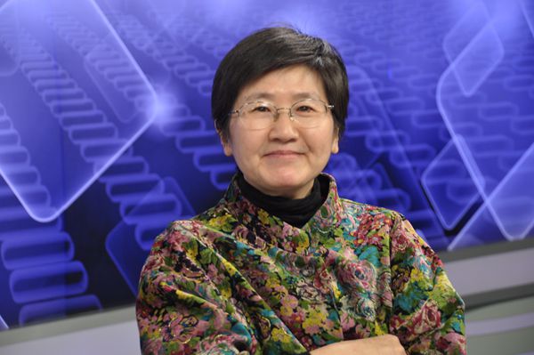 田禾 田禾