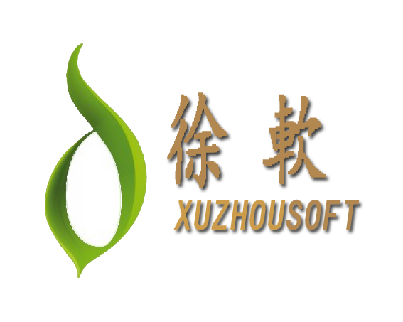 徐州徐软信息科技有限公司