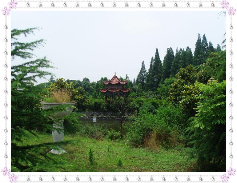 三湖农场 三湖农场