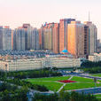 西岗区