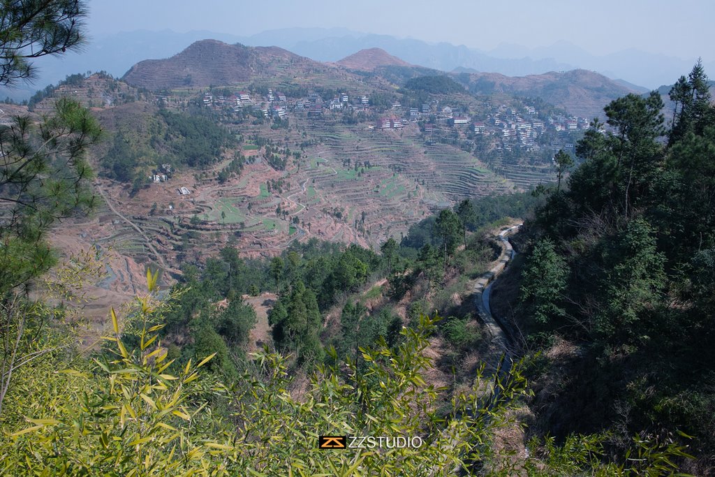 岩山村(山西泽州县柳树口镇下辖村)