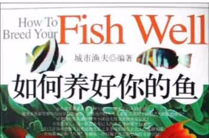 如何养好你的鱼