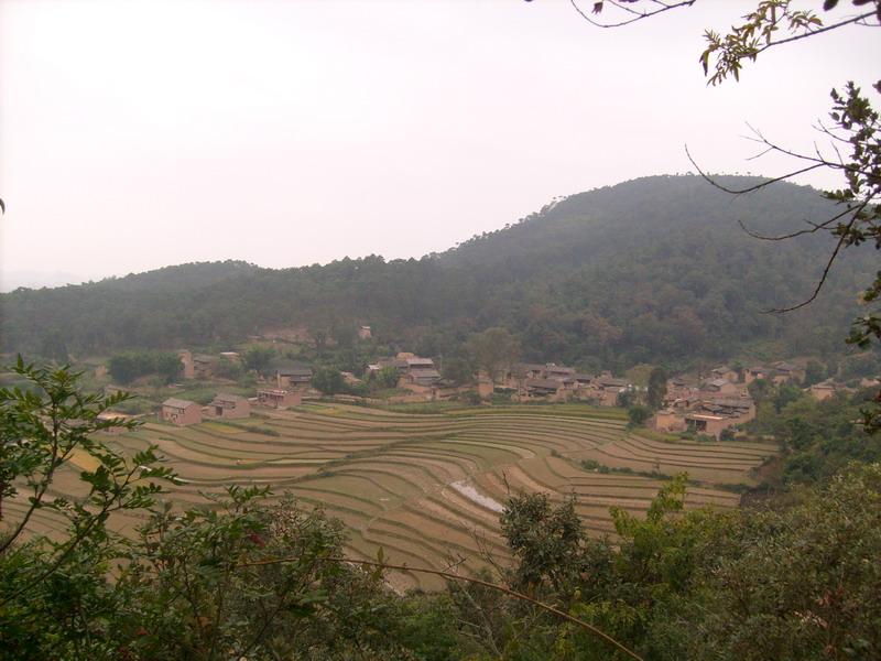 村庄全景 村庄全景