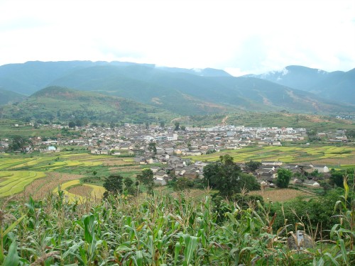 杉阳镇