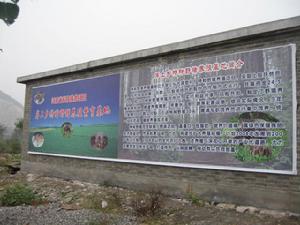 岸上乡 岸上乡