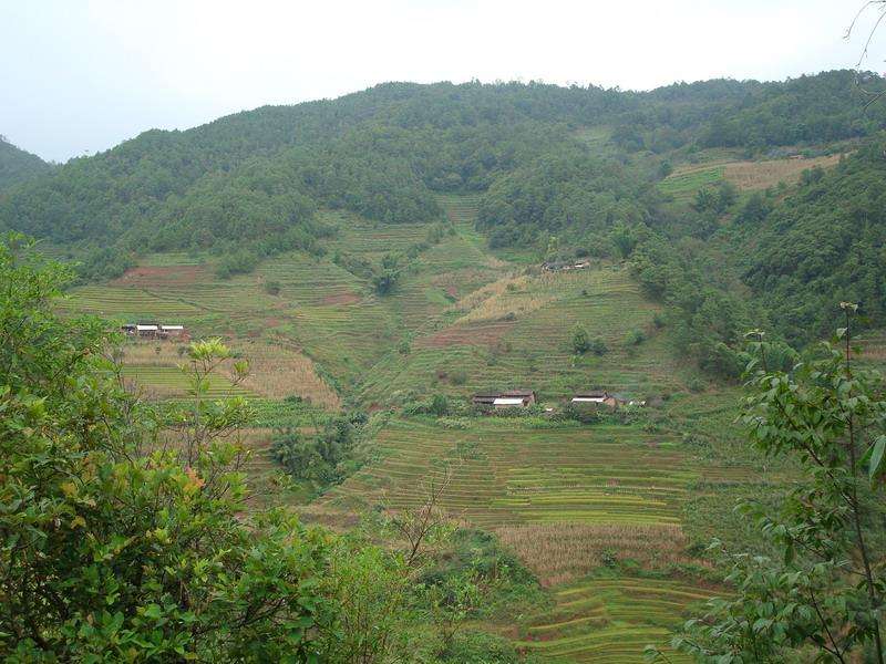 新田自然村 新田自然村