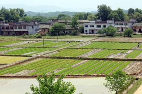 农村建设用地 农村建设用地