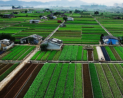 湖南省城镇蔬菜基地管理条例