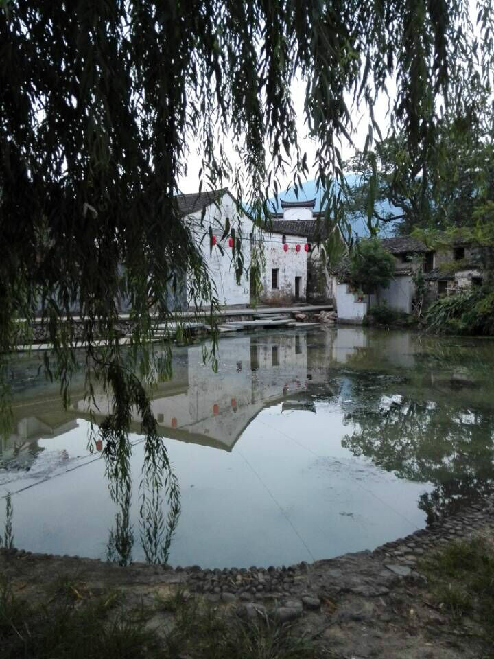 小池 小池