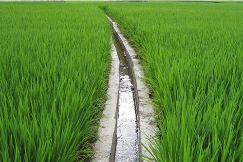 农田水利条例